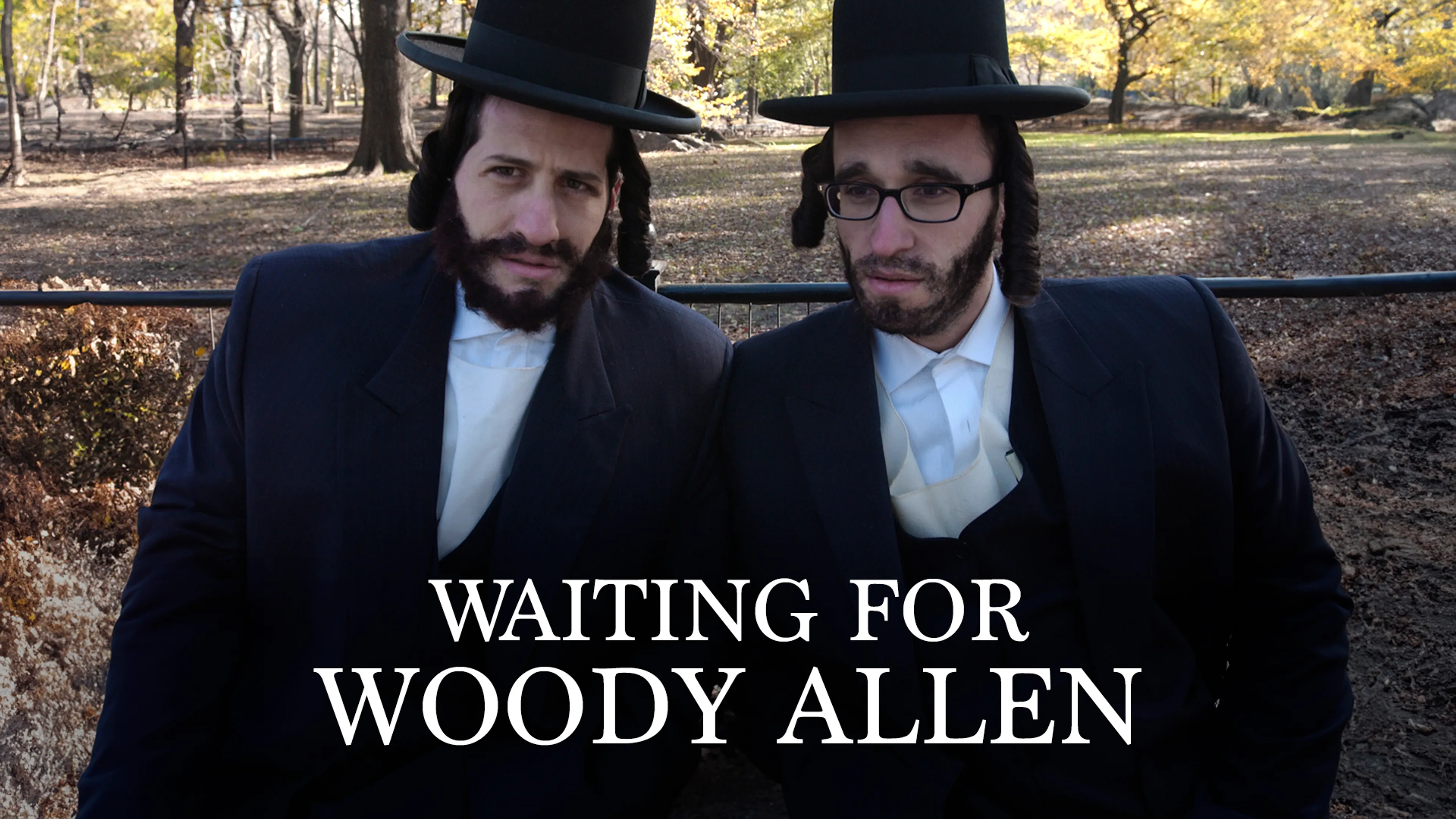 Waiting for Woody Allen poster